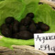 Guacamole to DIE for!