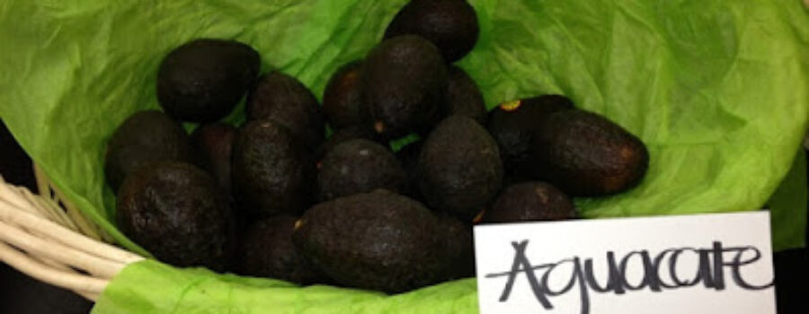 Guacamole to DIE for!