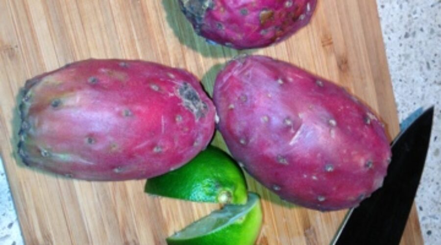 Cactus Pears