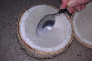 Coconut ice cream