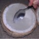 Coconut ice cream