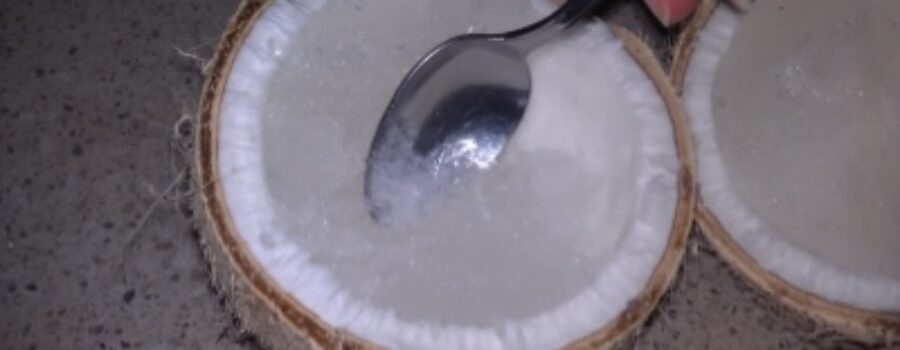 Coconut ice cream
