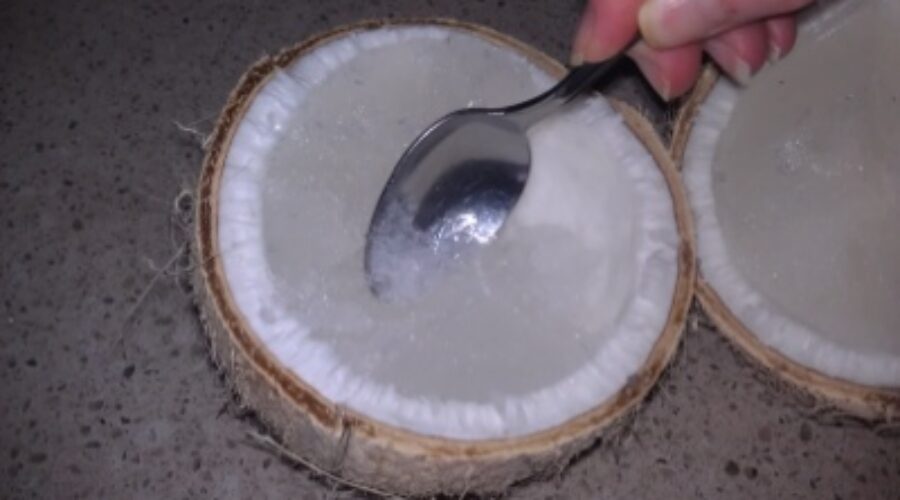 Coconut ice cream