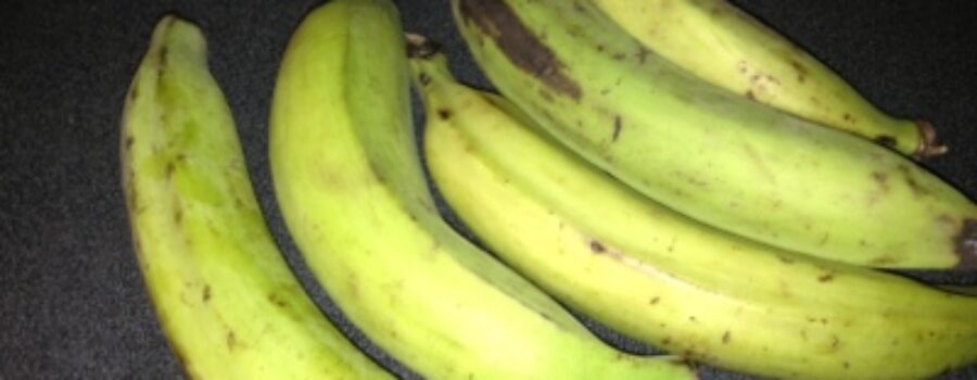 Tostones (something special from Central America)