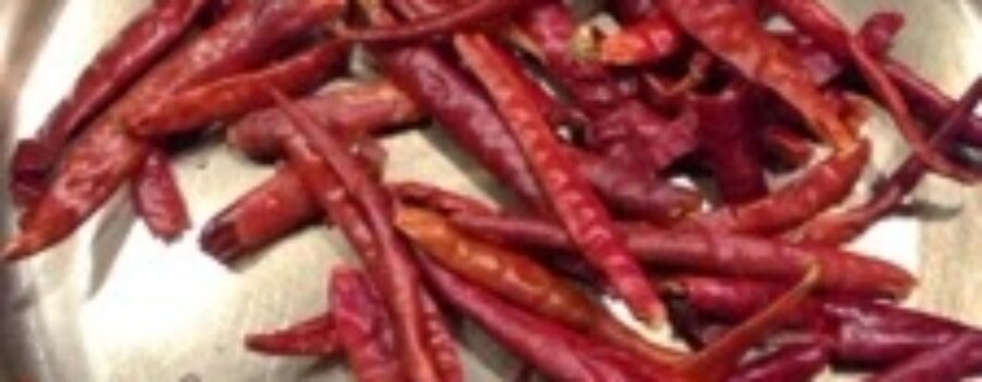 Salsa — Chile de Arbol HOT
